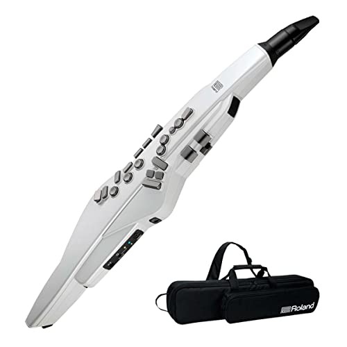 Roland aerophone - roland, ae-20